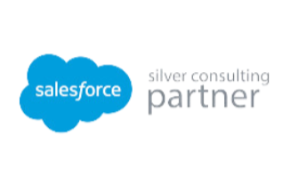 Salesforce partner